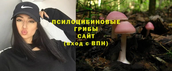 стаф Осташков