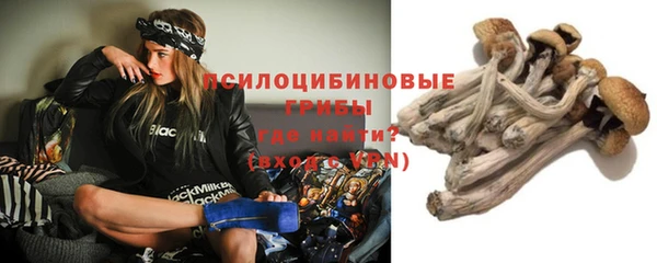 apvp Осинники