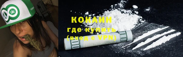 стаф Осташков