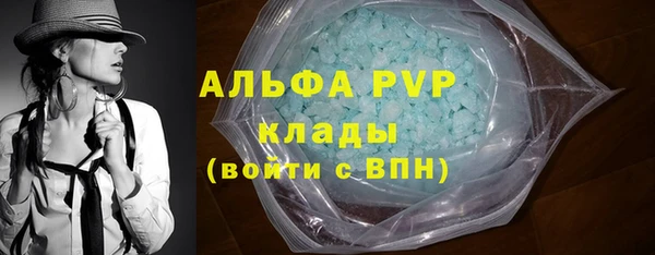 стаф Осташков