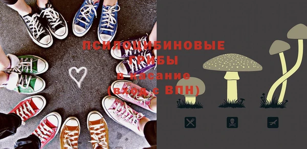apvp Осинники