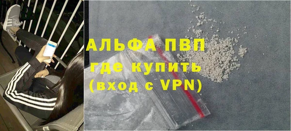 стаф Осташков