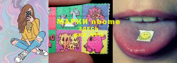 apvp Осинники