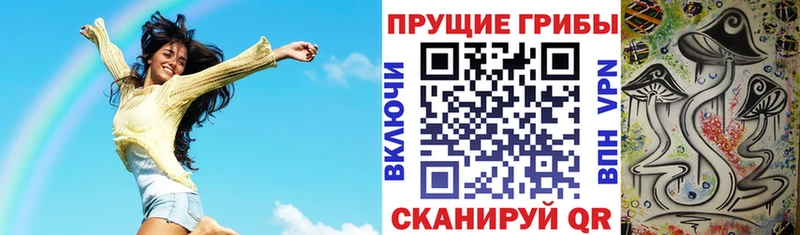 Псилоцибиновые грибы MAGIC MUSHROOMS  Купить где  Новотитаровская 